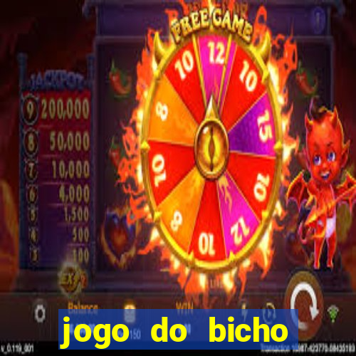 jogo do bicho tipos de apostas